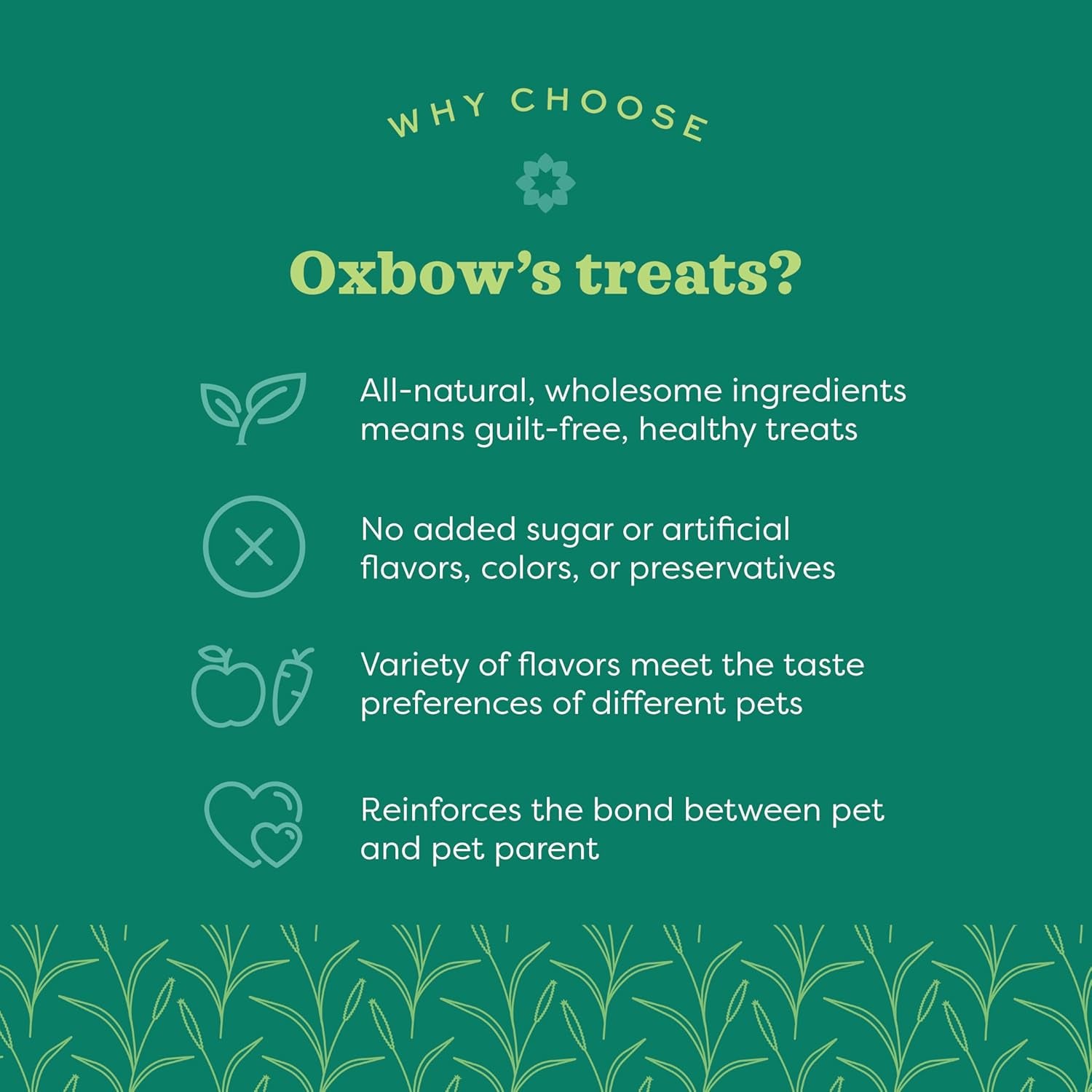 Organic Barley Biscuits Rabbit Treats, Guinea Pig Treats, 2.65 Oz | Organic Bunny Treats with Barley, Apple & Carrot for Rabbits, Guinea Pigs, Hamsters & Chinchillas, Made in USA