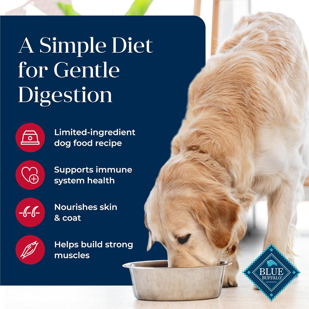Basics Salmon Adult Grain-Free Dry Dog Food, 22 Lb | Skin & Stomach Care, Real Salmon #1 Ingredient, Limited Ingredient Diet, Antioxidant-Rich Lifesource Bits, Skin & Coat Health