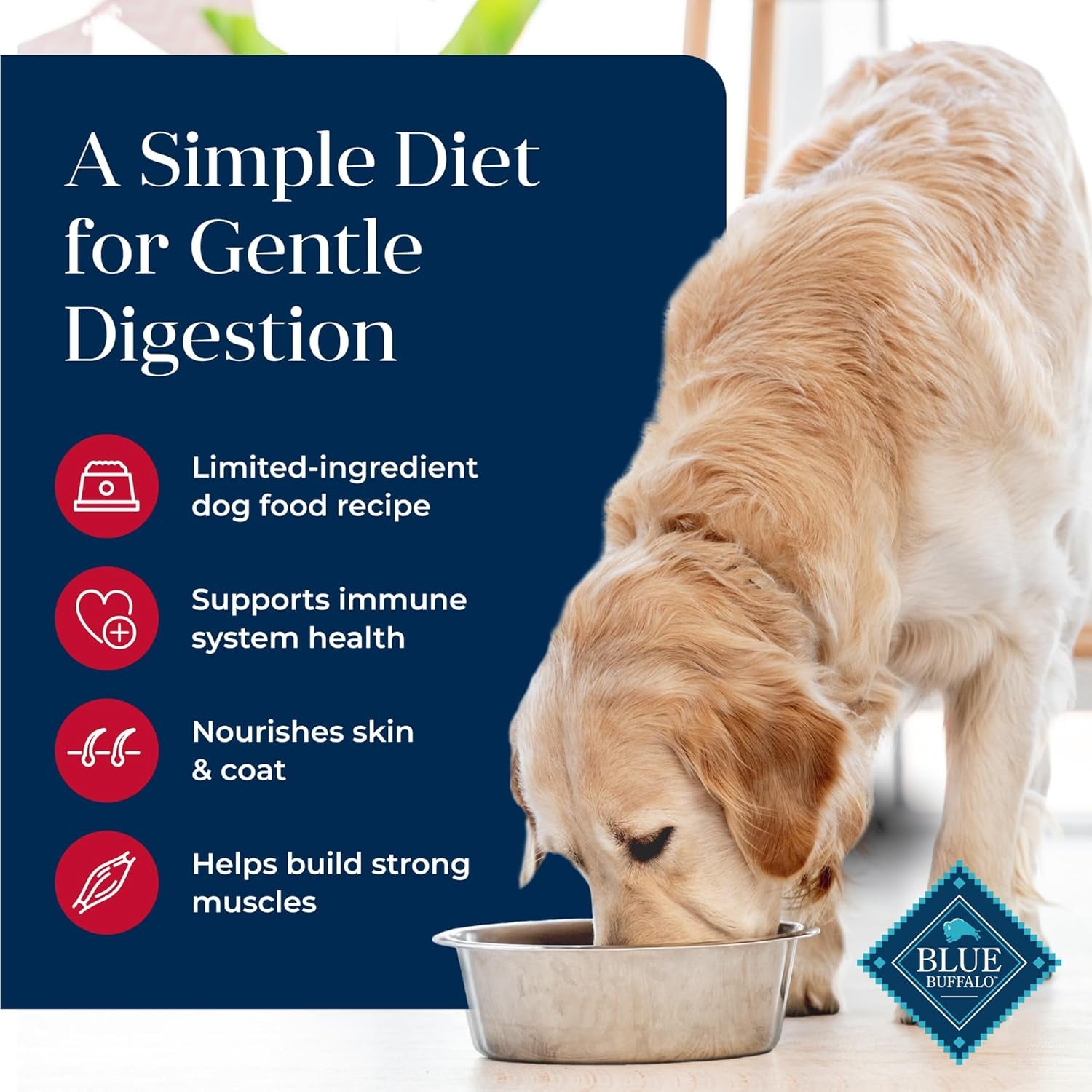 Basics Salmon Adult Grain-Free Dry Dog Food, 22 Lb | Skin & Stomach Care, Real Salmon #1 Ingredient, Limited Ingredient Diet, Antioxidant-Rich Lifesource Bits, Skin & Coat Health