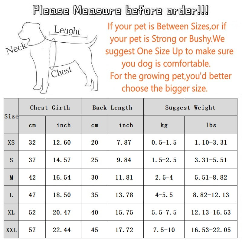 Autumn And Winter Korean Version New Dog Cute Cartoon Little Bear Sportswear Cat Teddy Pet Clothing