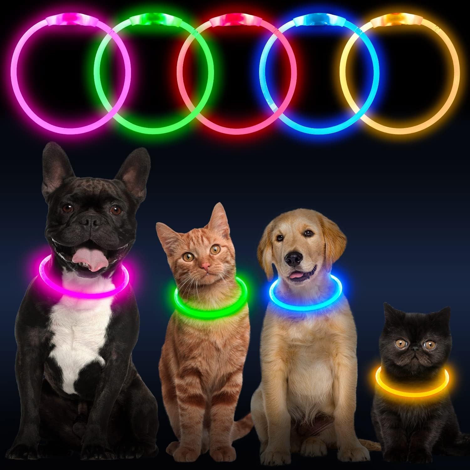 LED Dog Collar, USB Rechargeable Glowing Lighted up Collar | Cuttable Water-Resistant TPU Safety Collar Lights for Small Medium Large Dogs