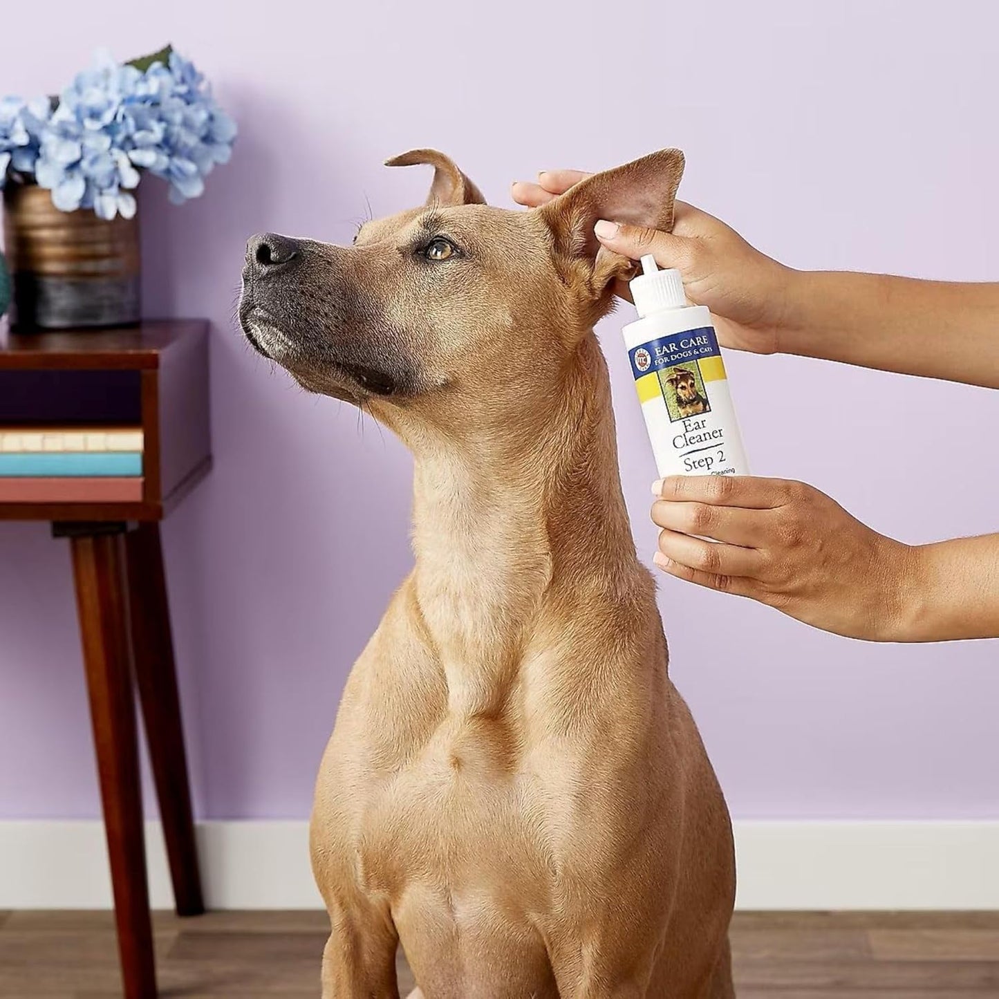 Ear Cleaner for Dogs and Cats, 8 Ounce | Remove Debris and Dirt, Reduce Ear Odor, Waxy Build Up, and Itching, Protect against Ear Mites, Gentle and Non-Staining