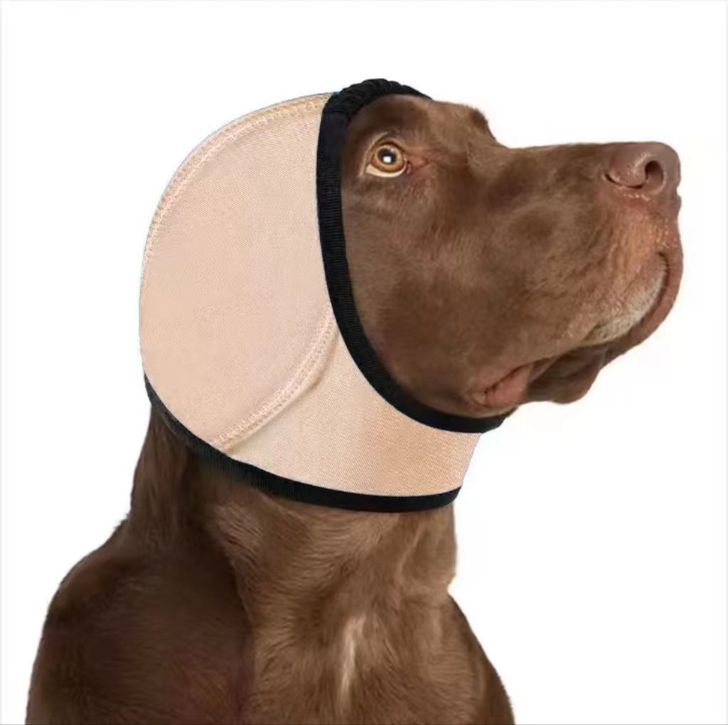 211669764-21