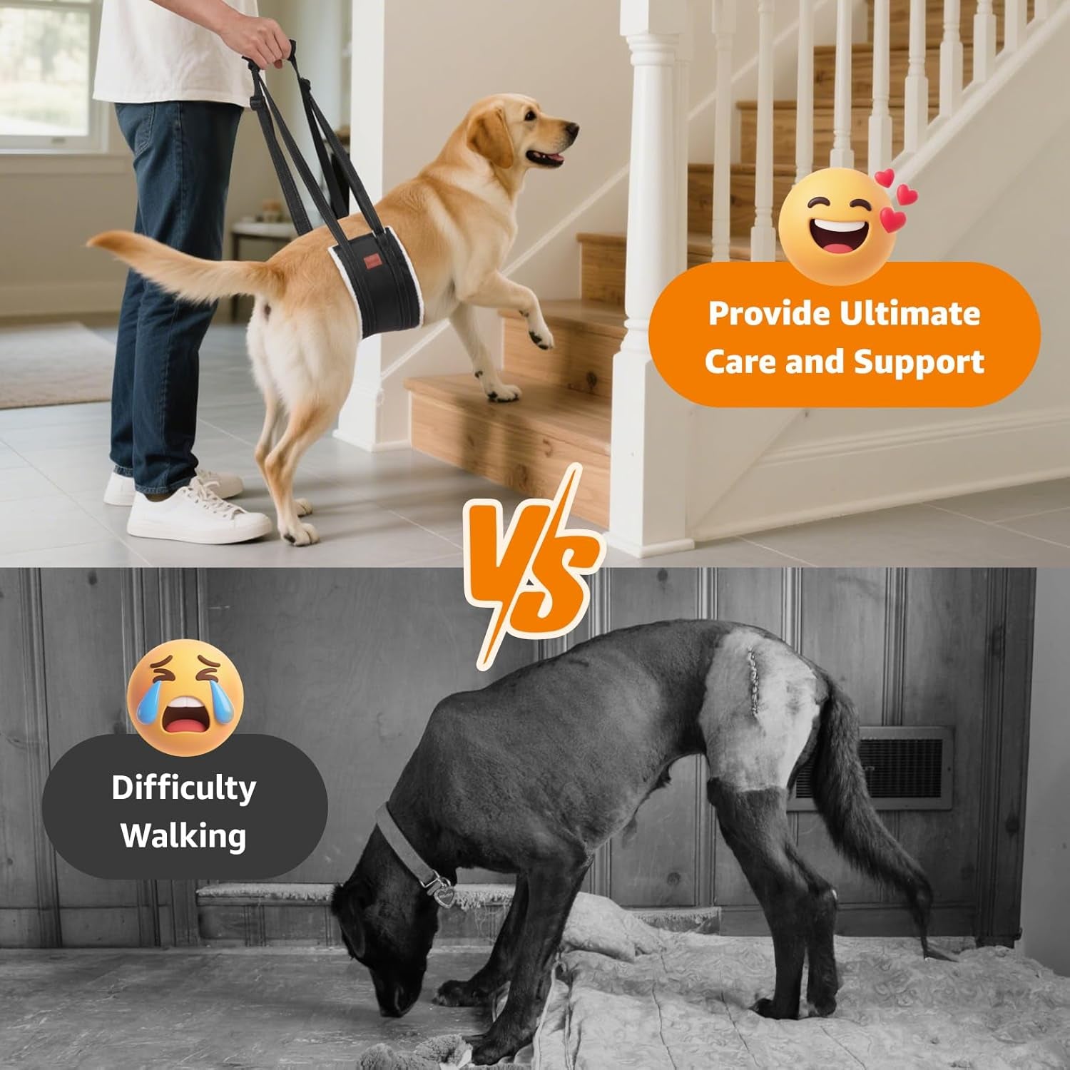 Adjustable Dog Sling for Large Dogs Hind Leg Support ACL Recovery | Walking & Stair Assistance, Senior Dog Mobility, Padded Comfort, Adjustable Fit, Lightweight Nylon, Soft Plush Lining