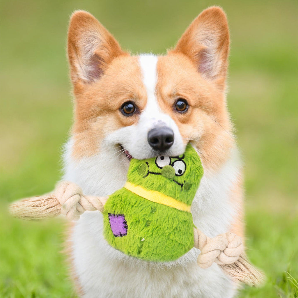 Interactive Dog Toy Plush Rope Knot Tug Of War Game Bb Bite Resistant Molar Tooth Toy