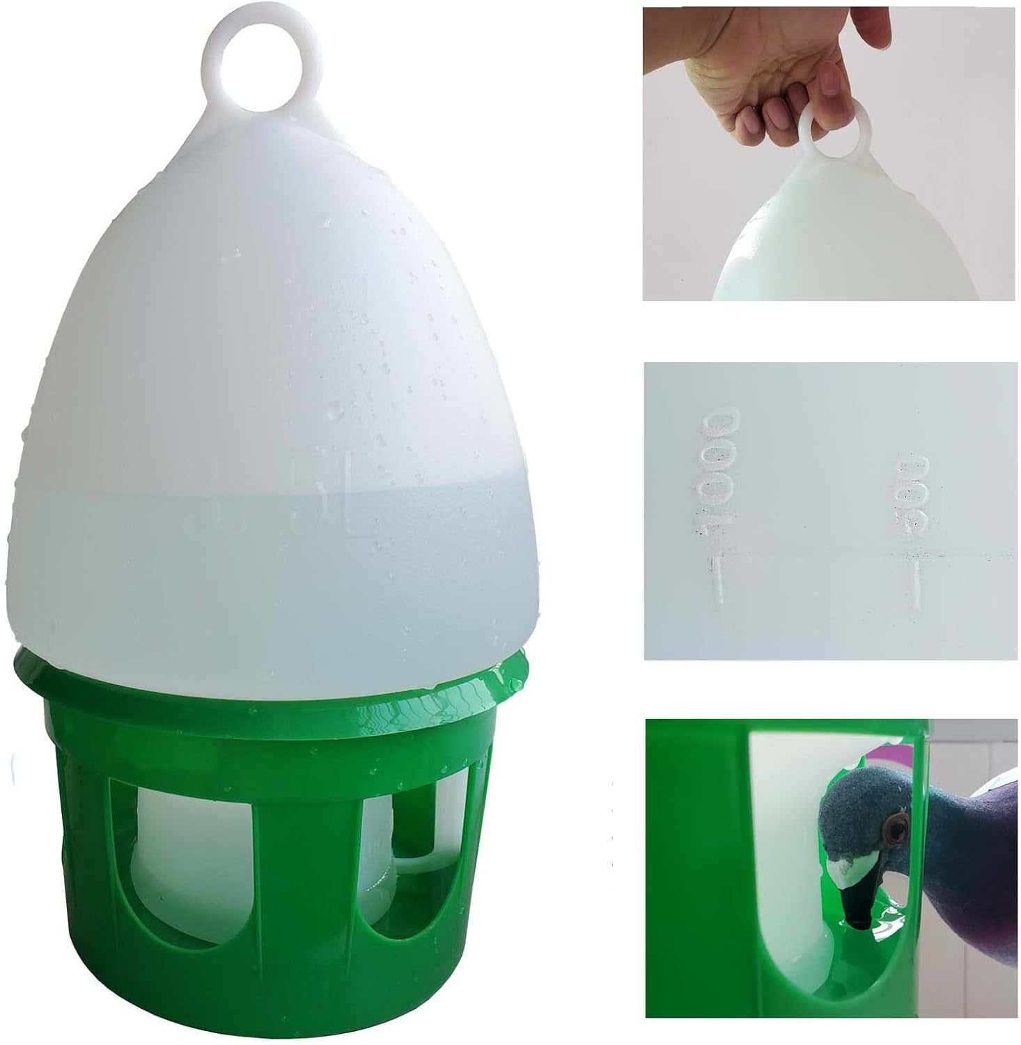 SRRPS PIGEON Pigeon Water Dispenser Drinker Bird Water Drinker 2.5L Automatic Feeders Water Dispenser Dove Drinker