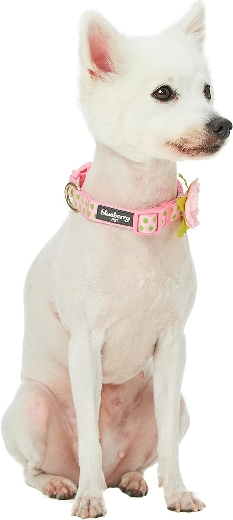 Adjustable Flocking Dog Collar with Silk Flower, Pink Dog Collar for Girls, Medium, 14.5"-20" Neck, 3/4" Width, Girl Dog Collars for Small Dogs