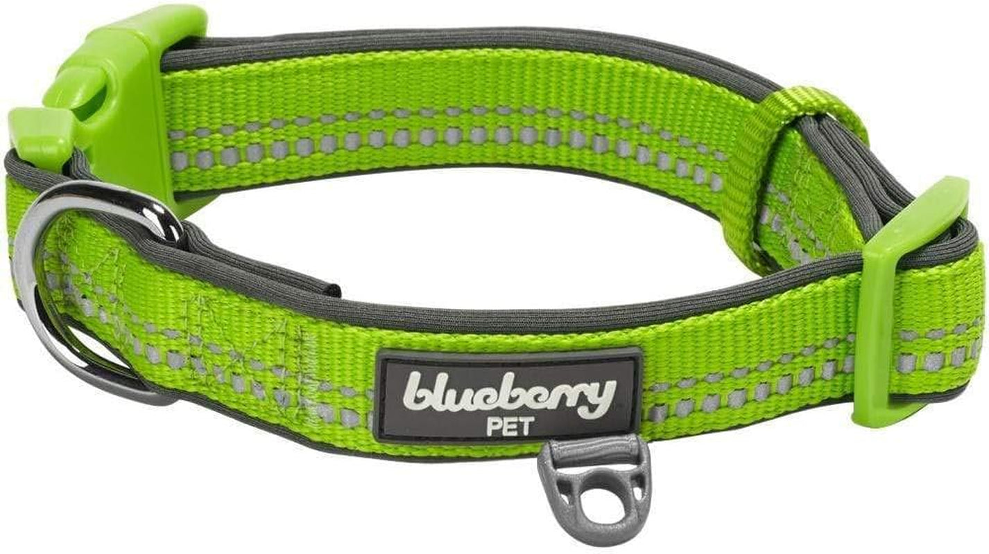 Dog Collar, Adjustable Dog Collars for Small Dogs, Reflective Puppy Collar with Neoprene Padding, Green Flash, 12"-16" Neck, Eco-Friendly, Award-Winning Safety