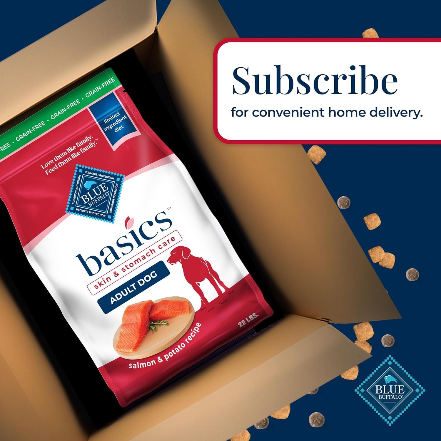 Basics Salmon Adult Grain-Free Dry Dog Food, 22 Lb | Skin & Stomach Care, Real Salmon #1 Ingredient, Limited Ingredient Diet, Antioxidant-Rich Lifesource Bits, Skin & Coat Health