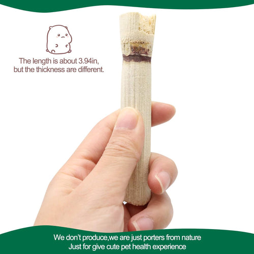 500G Sweet Bamboo Chews for Rabbits, Rabbit Chew Toys Bamboo Sticks | Rabbit Bamboo Chew Sticks, Bamboo Sticks for Rabbits, Bamboo for Rabbits, about 50-60 Sticks, 3.94 In, Rabbits Guinea Pigs