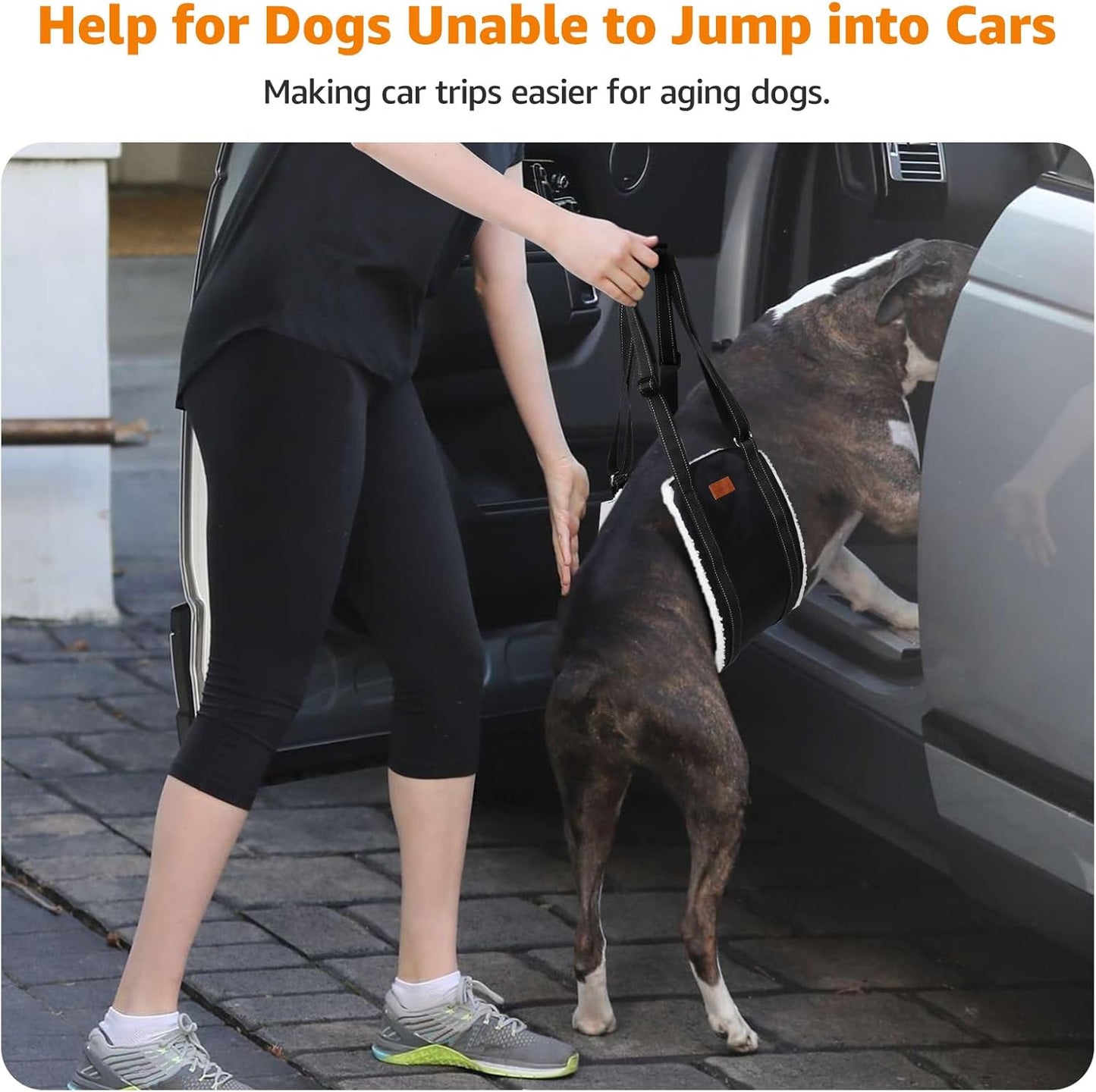 Adjustable Dog Sling for Large Dogs Hind Leg Support ACL Recovery | Walking & Stair Assistance, Senior Dog Mobility, Padded Comfort, Adjustable Fit, Lightweight Nylon, Soft Plush Lining