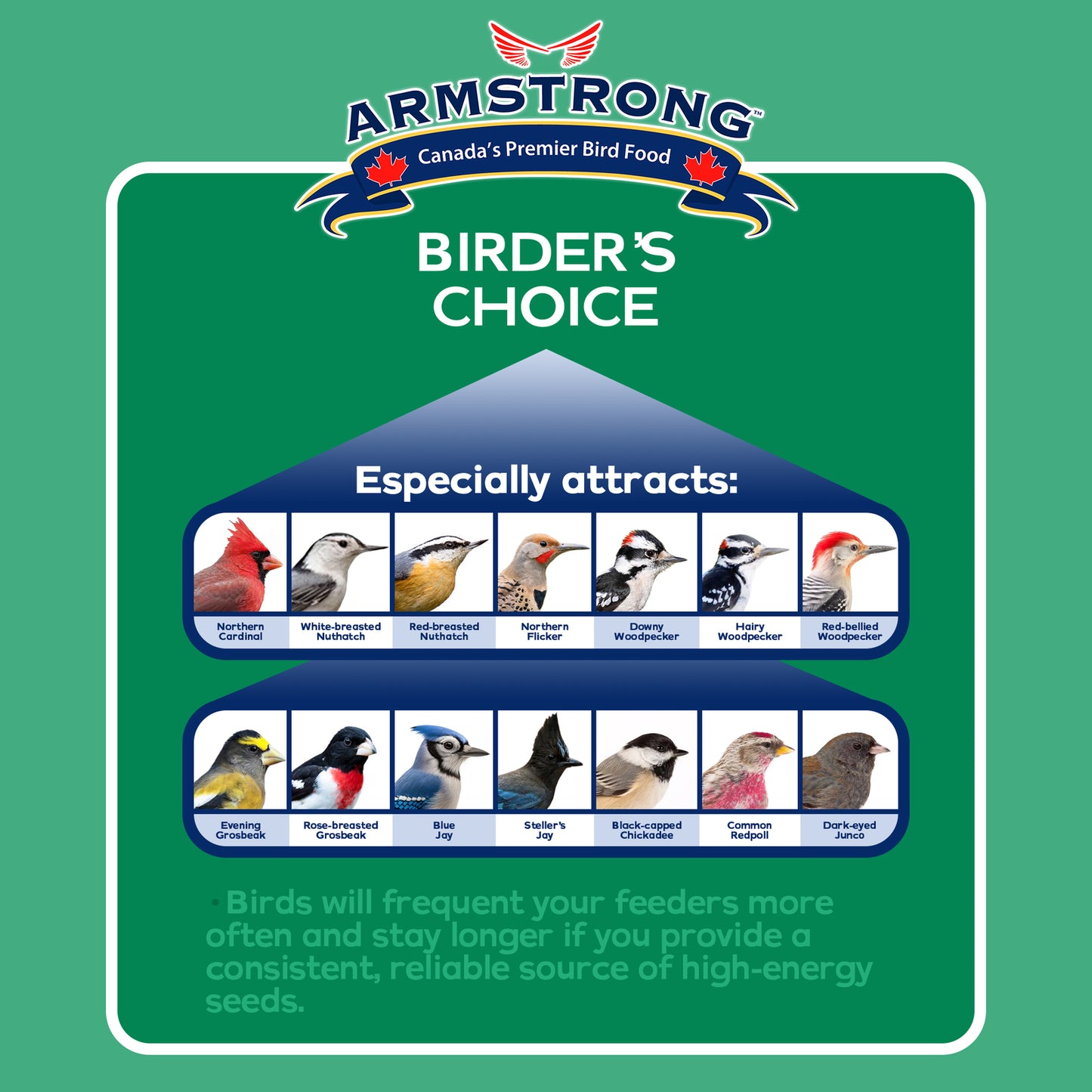 Armstrong Wild Bird Food Birder'S Choice Suet Cake, 11.3Oz (Pack of 8)