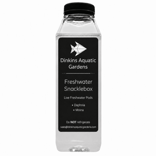 Freshwater Snacklebox - Daphnia + Moina