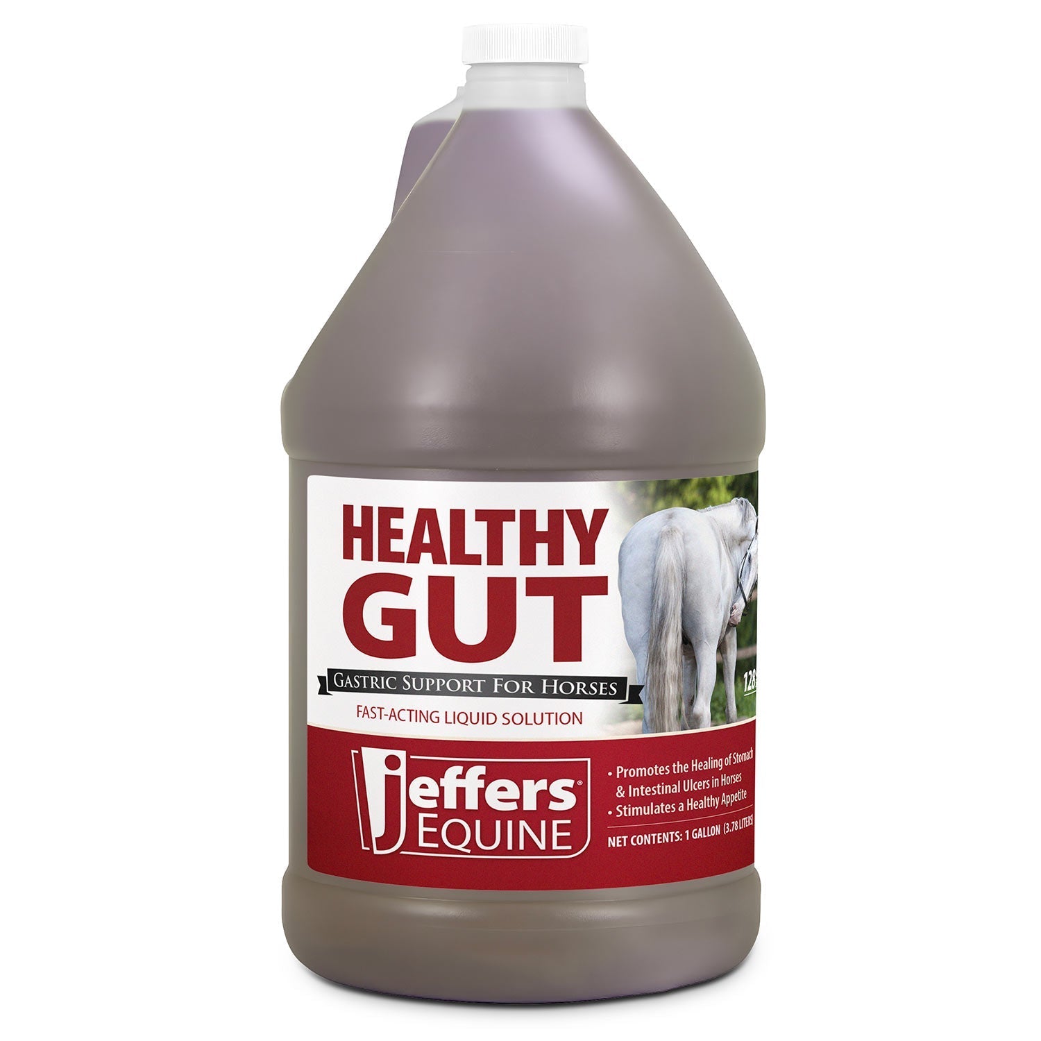 Jeffers Healthy Gut Gastric Support Liquid Supplement for Horses