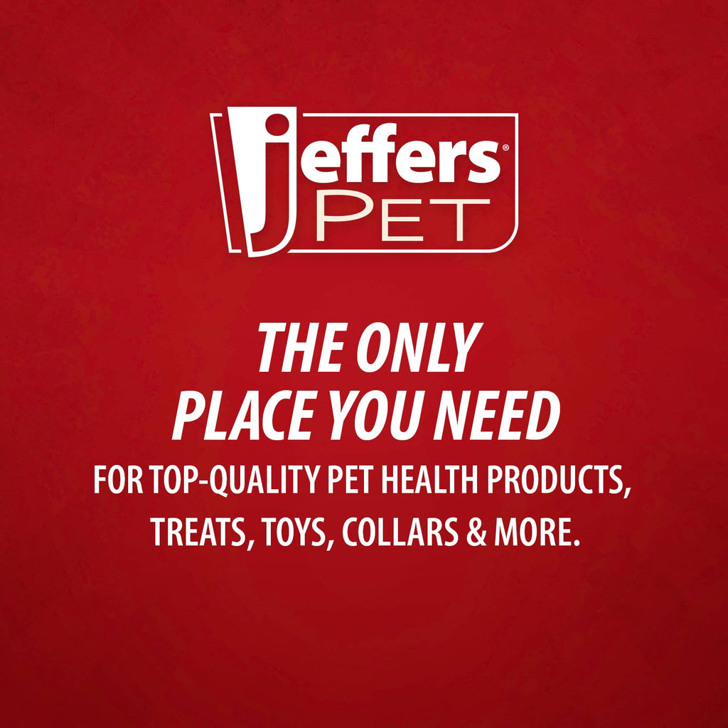 Jeffers Red Dental Bone Natural Rubber Dog Chew Toy for Healthy Teeth and Gums