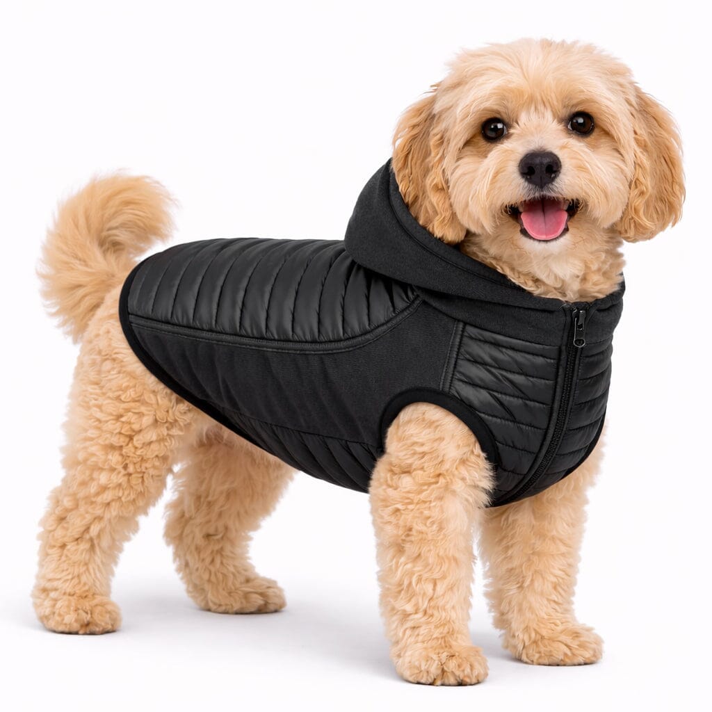 files/pet-life-r-apex-lightweight-hybrid-4-season-stretch-and-quick-dry-dog-coat-w-pop-out-hood-941445.jpg