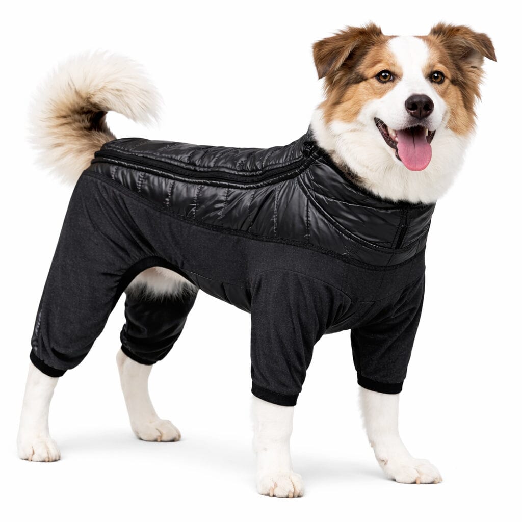 files/pet-life-r-aura-vent-lightweight-4-season-stretch-and-quick-dry-full-body-dog-jacket-189562.jpg