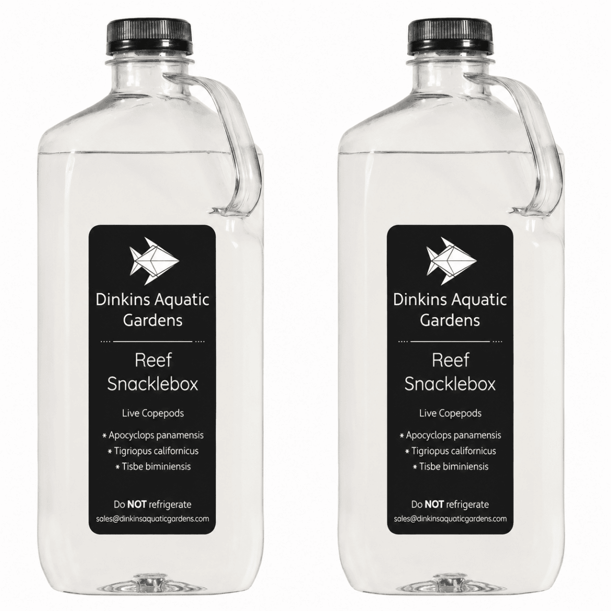 Reef Snacklebox - Three Species Blend of Live Copepods