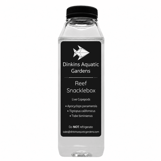 Reef Snacklebox - Three Species Blend of Live Copepods