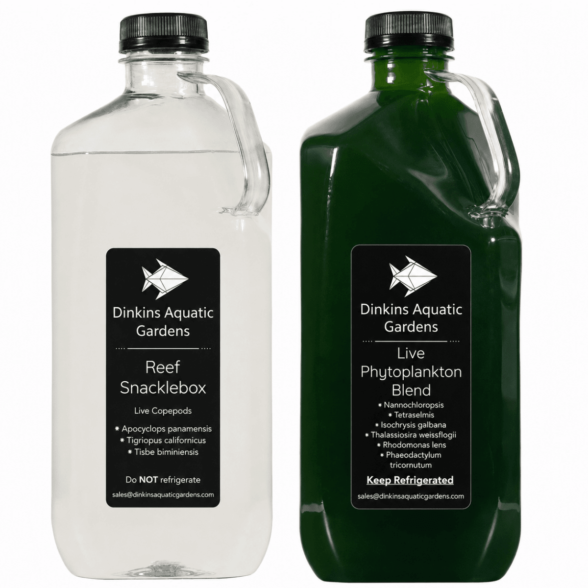 Reef Snacklepack Combo: Live Copepods + Live Phytoplankton