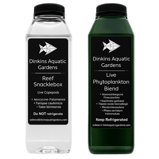 Reef Snacklepack Combo: Live Copepods + Live Phytoplankton